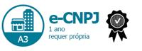 E-CNPJ A3 DE 1 ANO